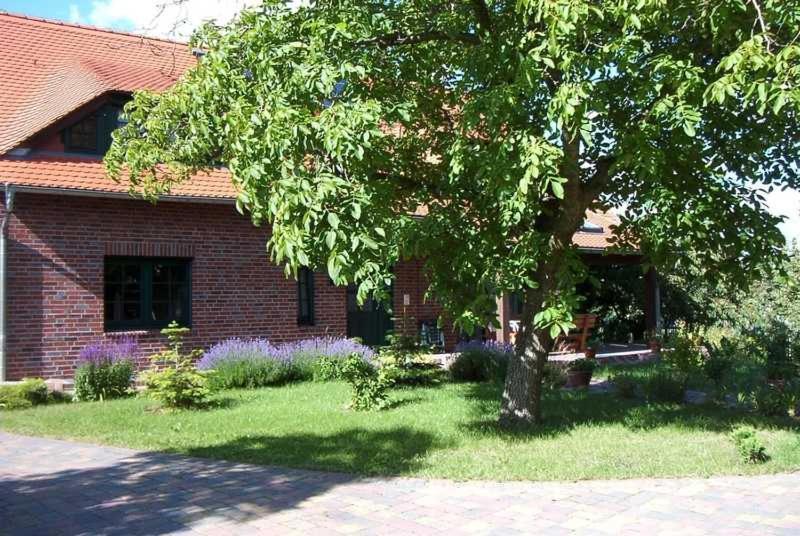 Kraeuter_Landhaus Bad Schmiedeberg Ngoại thất bức ảnh